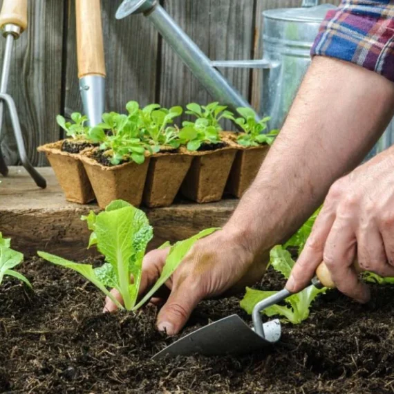 port-img-2 port-img-2