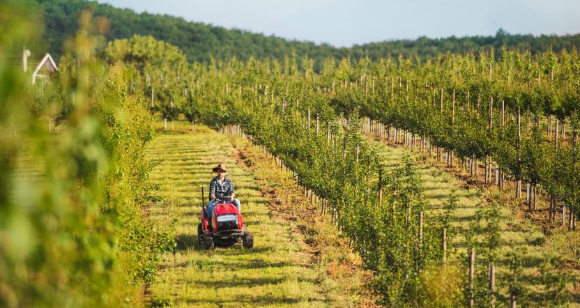 a mature farmer driving mini tractor outdoors in o 2026 03 10 02 06 40 utc
