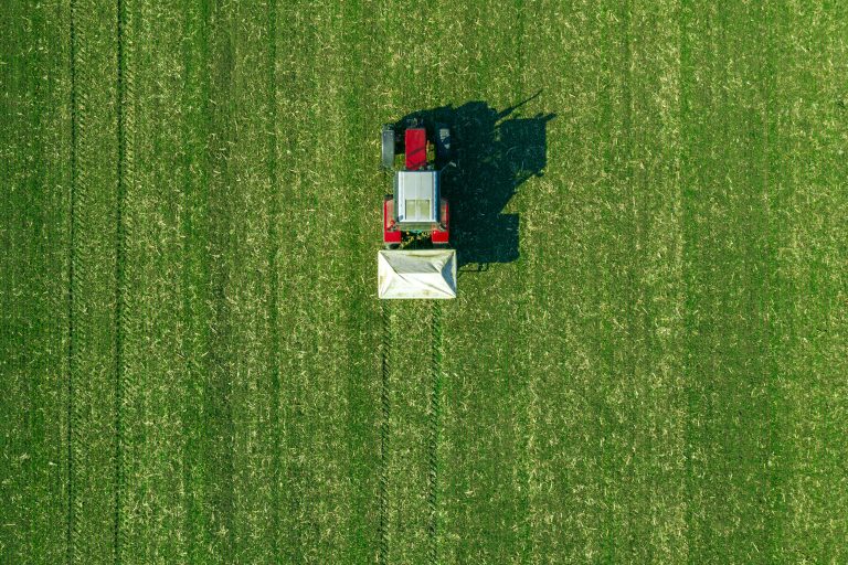 მეურნეობა, მწვანე რევოლუცია