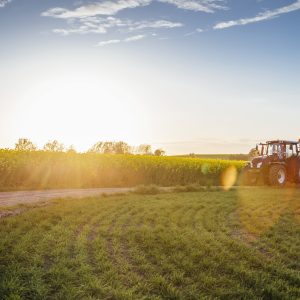 როგორ ავირჩიოთ მუშა ტრაქტორი? 4 როგორ ავირჩიოთ მუშა ტრაქტორი?