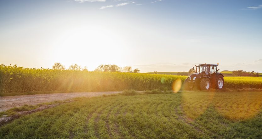 მუშა ტრაქტორი