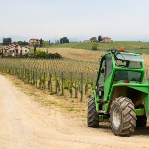 ვენახის და ბაღის მოვლა: რატომ არის სპეციალიზებული ტექნიკა აუცილებელი? | ვენახის ტრაქტორი