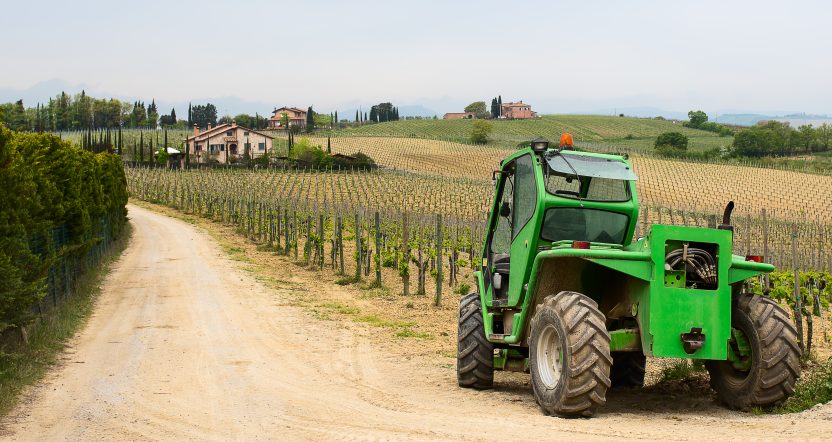 ვენახის და ბაღის მოვლა: რატომ არის სპეციალიზებული ტექნიკა აუცილებელი? | ვენახის ტრაქტორი 1 ვენახის ტრაქტორი